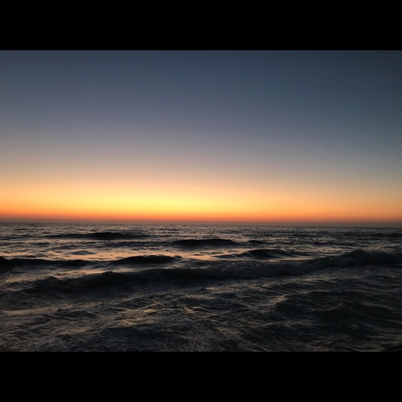 Meet your Posher, Ziva - Picture 1 of 1